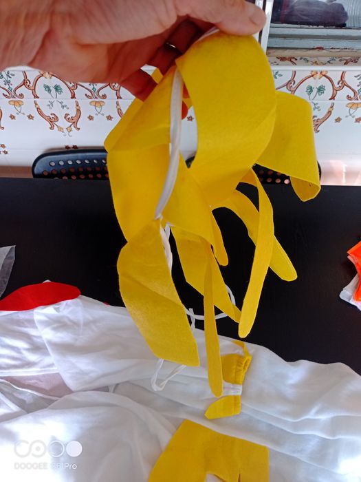 Disfarce galinha 10/12 anos