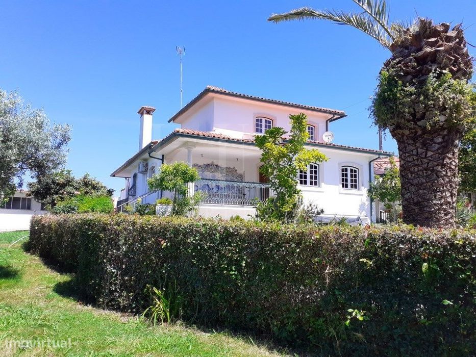 Herdade Com 2Ha E 840M2 Em Torres Novas