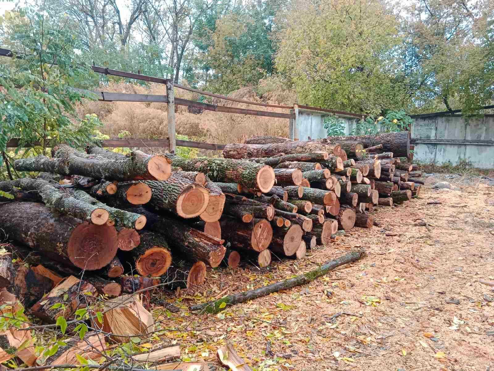 Дрова твердих порід Дуб,Ясен, колоті,метровки.