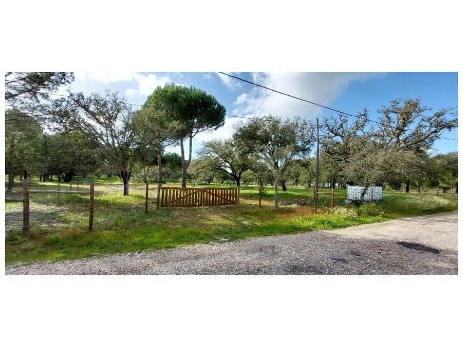 TERRENO (2,38ha) a 30 Km das Praias.