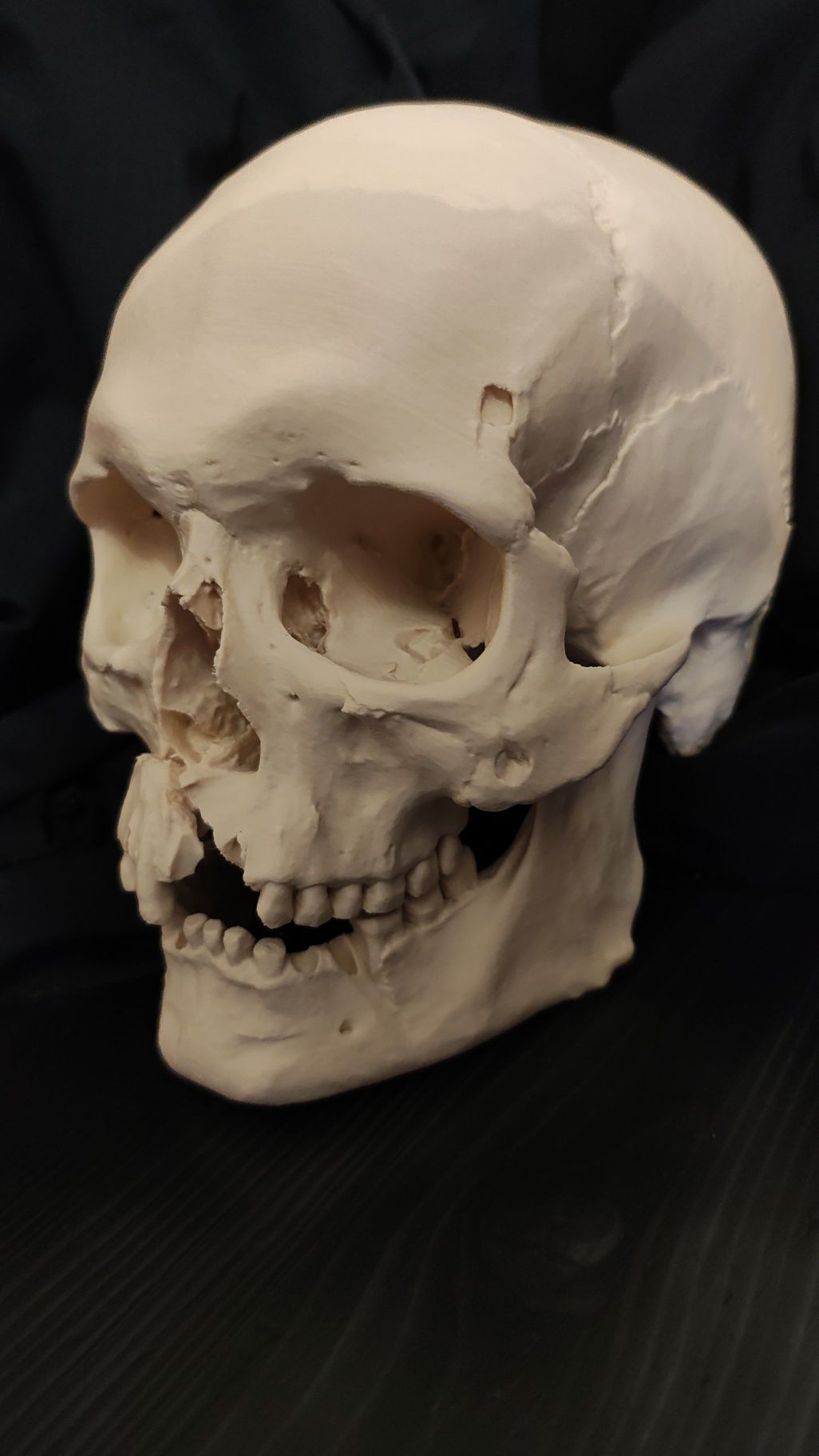Model 3d czaszka ludzka pełny wymiar