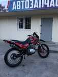 Viper V250L PLODE