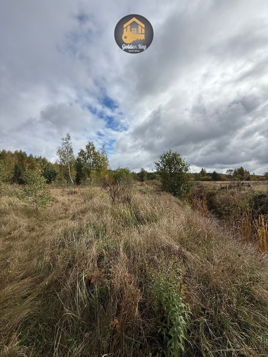 Продам земельну ділянку 7га, серед сосен, с.Рови