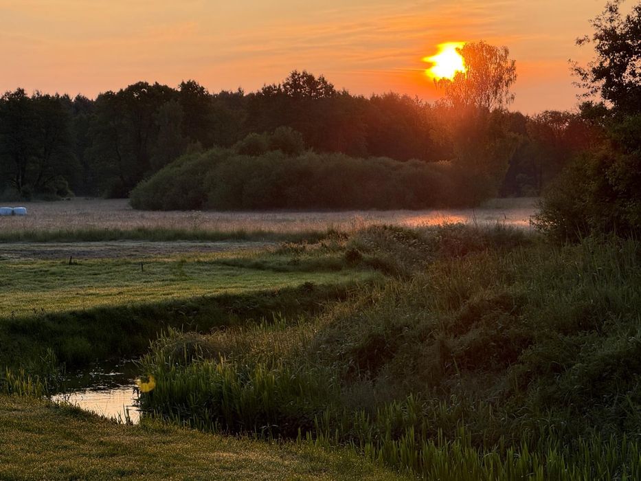 Tiny silent house river wynajem domek jacuzzi las cisza wynajme