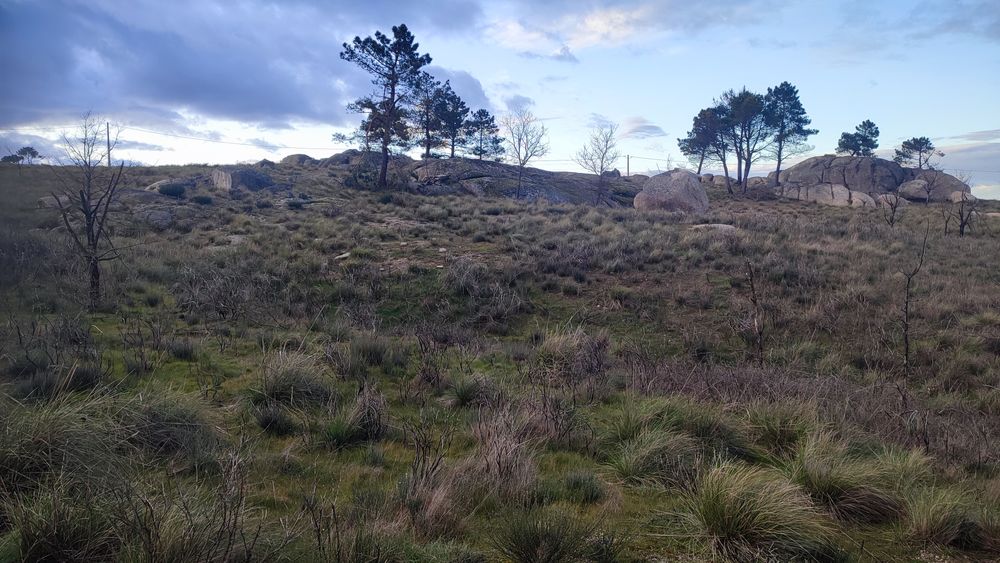 Terreno em Alvendre, Guarda