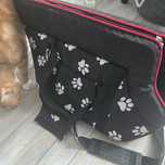 Transporter torba