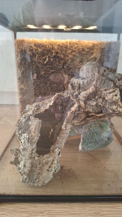 Terrarium Reptiplanet 30x30x30