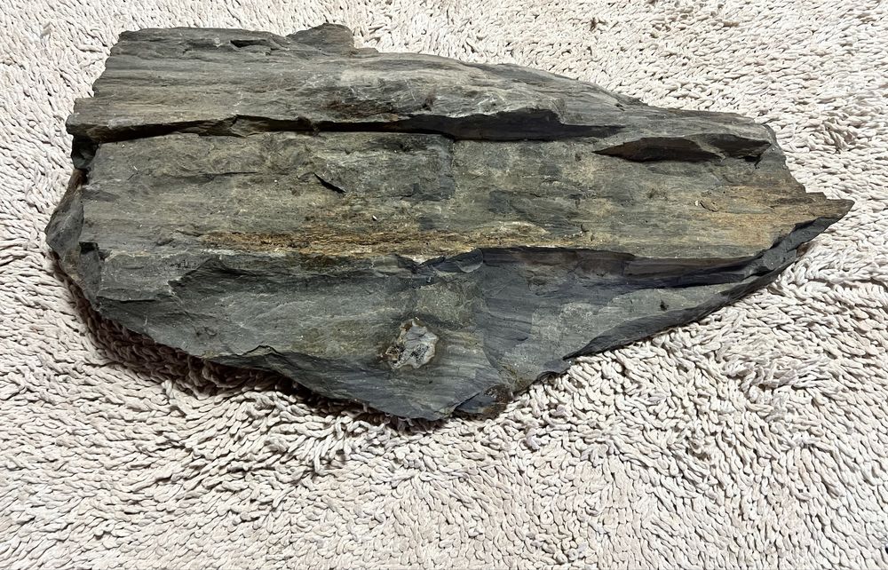 Ardósia para Aquário grande