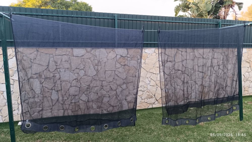 Cortinados transparentes pretos