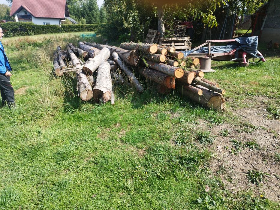 Drzewo do obróbki i na opał