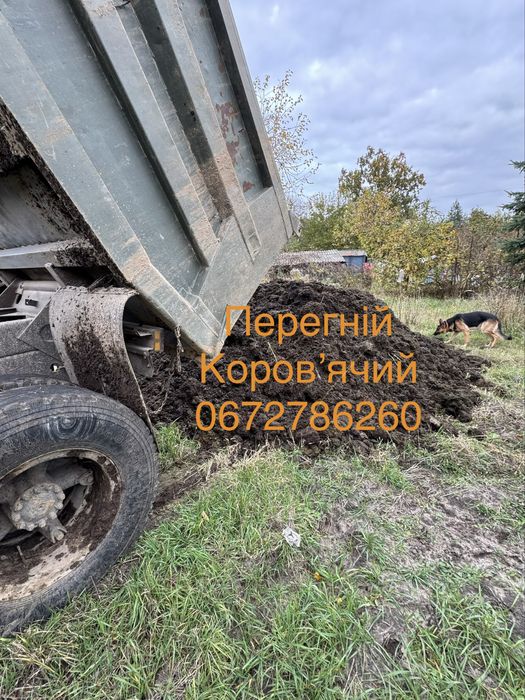 Перегній гній коровяк добриво доя городу теплиці саду городу гной