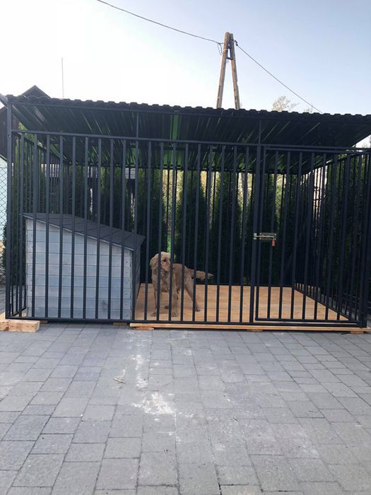 Kojec i boks dla psa. Solidna klatka, zagroda. Sprawdzone rozwiązania.