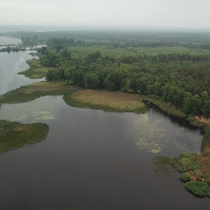 Ділянка 1.7 ГА з виходом в Київське море, Толокунь, ліс, фарватер