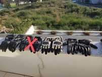 Luvas Alpinestars