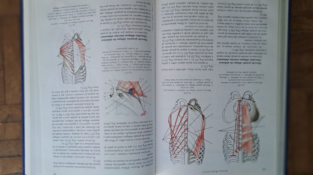 Livro anatomia medicina