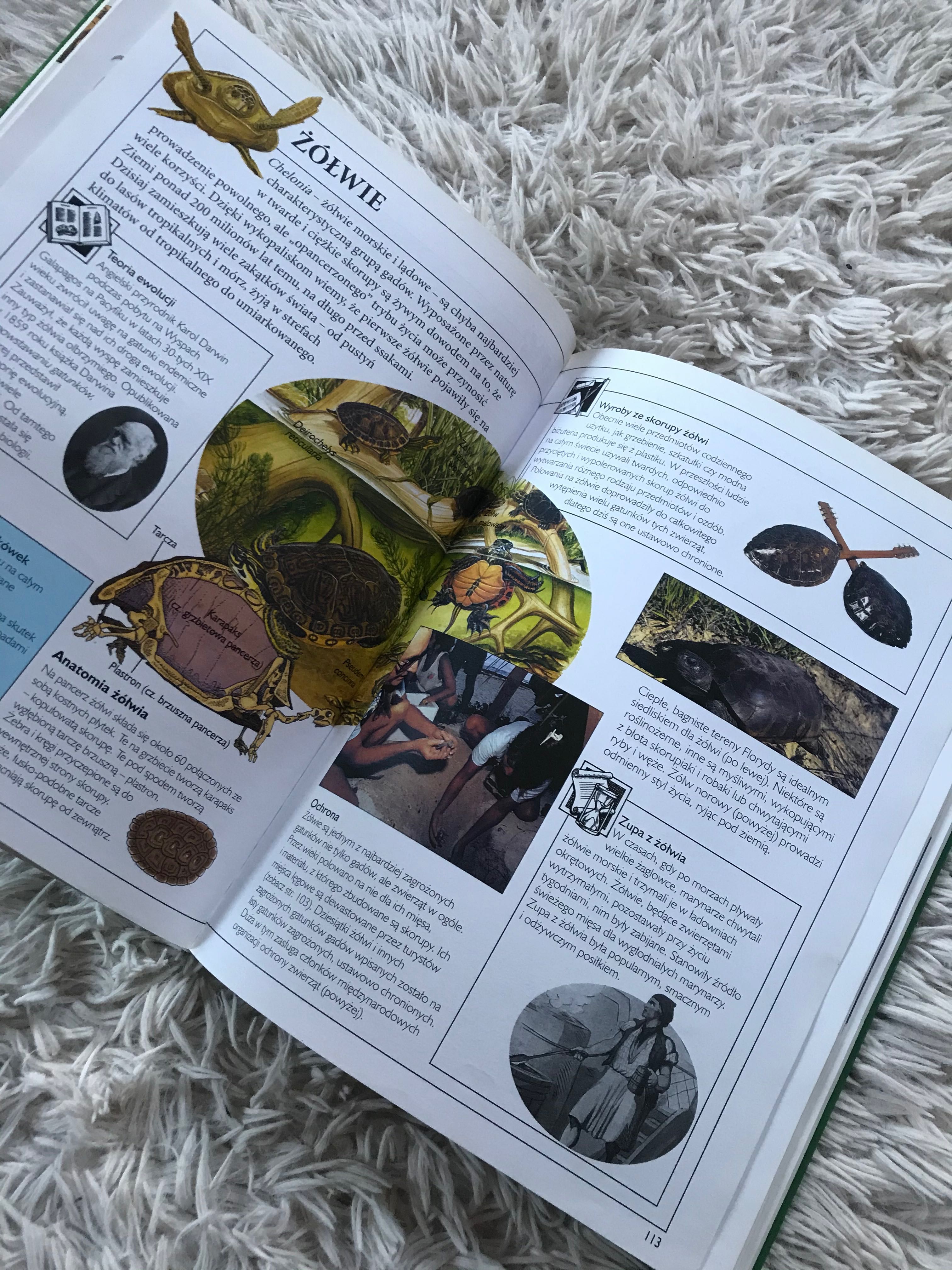Książka szkolna encyklopedia przyrody
