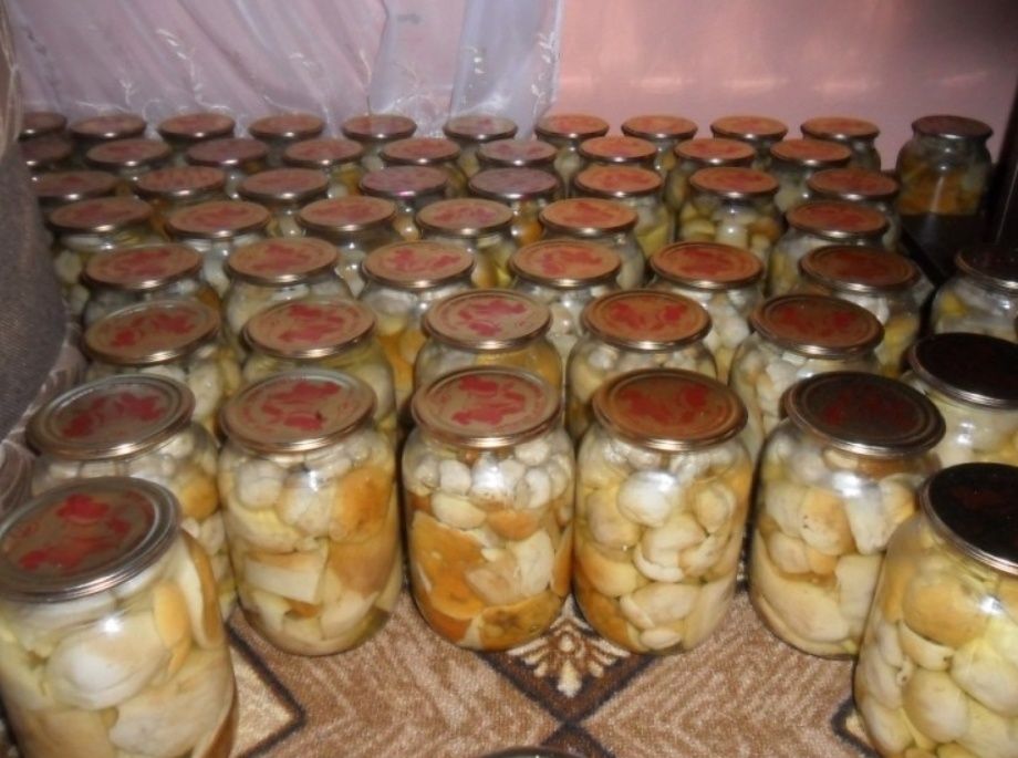 Мариновані білі гриби