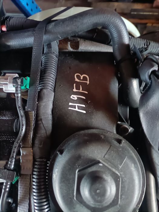 Motor Ford Transit h9 fb