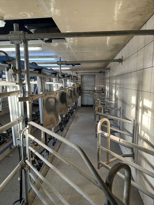 Hala udojowa DeLaval MP400 2x6, 30° – kompletna, gotowa do pracy