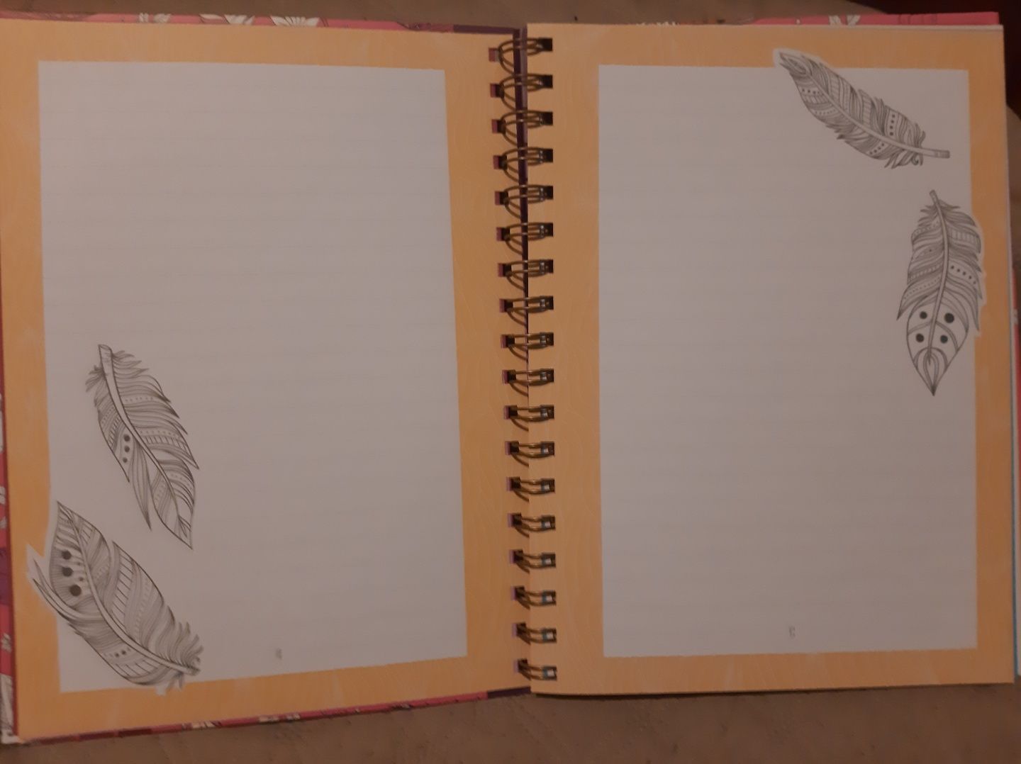 Caderno linhas com imagens