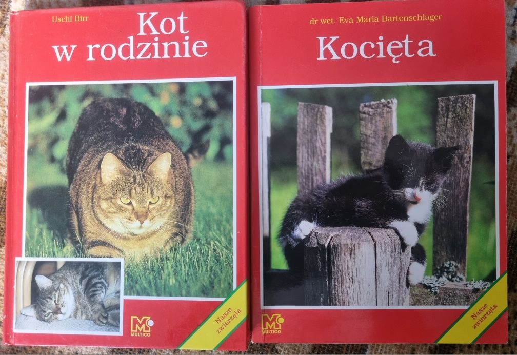 Kocięta i kot w rodzinie dwie książki