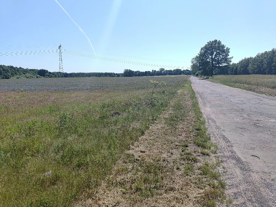 Działka siedliskowa