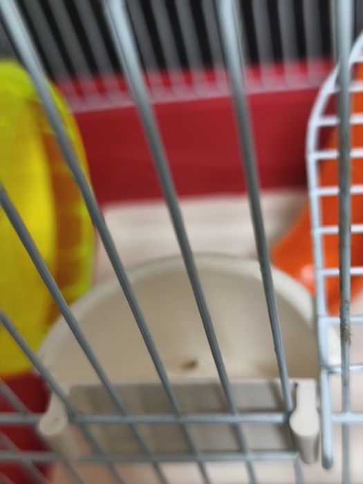 Gaiola Hamsters completa novinha