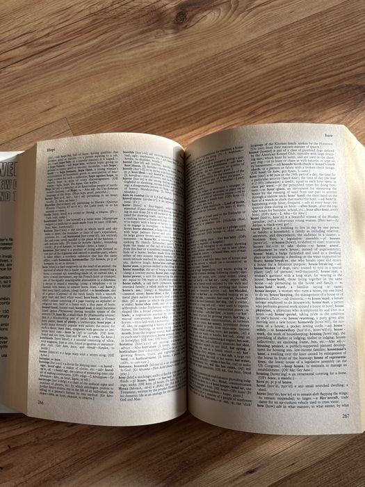 Słownik angielsko-angielski