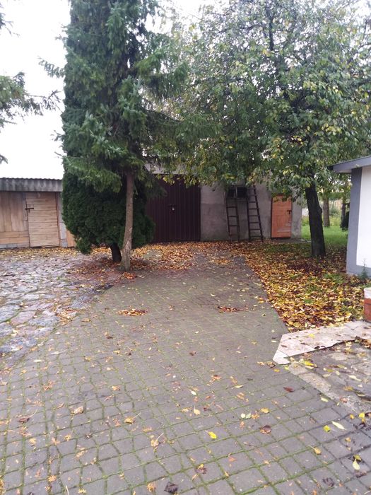 WYNAJMĘ! Dom 75m^2 ul. Mikołaja z Ryńska