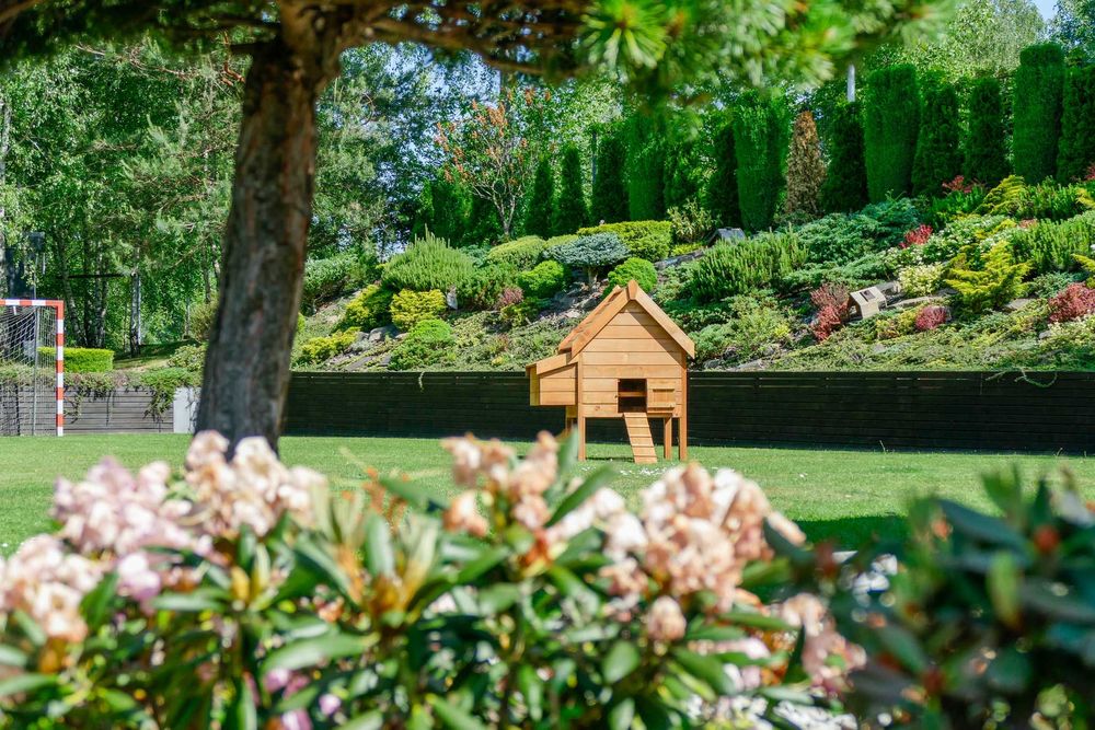 Kurnik z przystawką