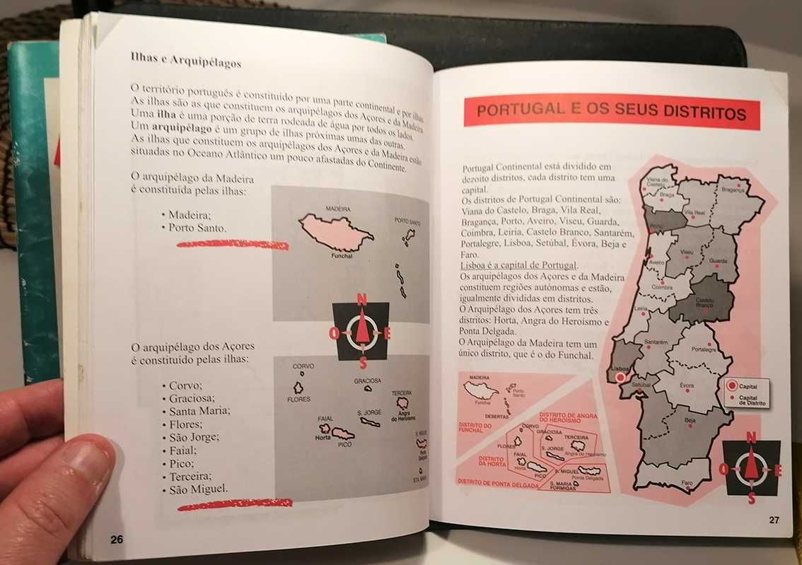 2 mini livros Ratinho