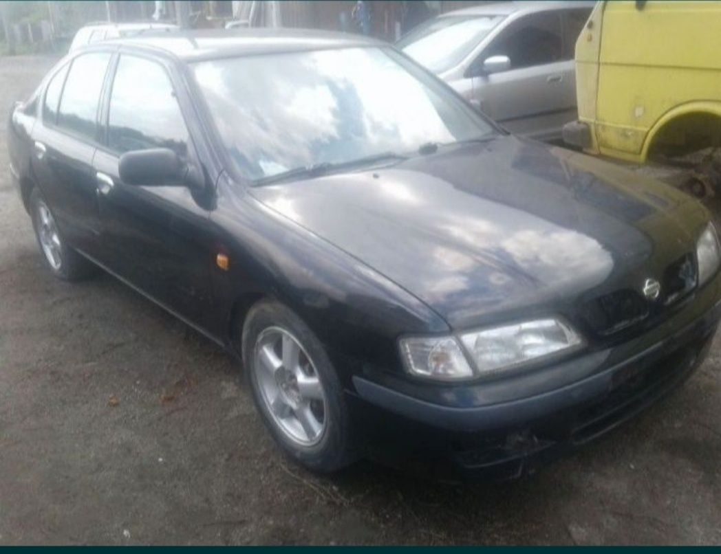 Nissan Primera  P11 Almera N15