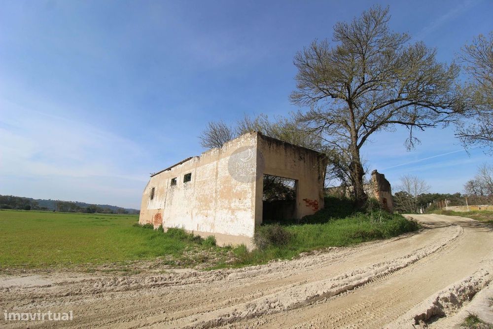 Moradia e anexos p/ recuperar c/ terreno.