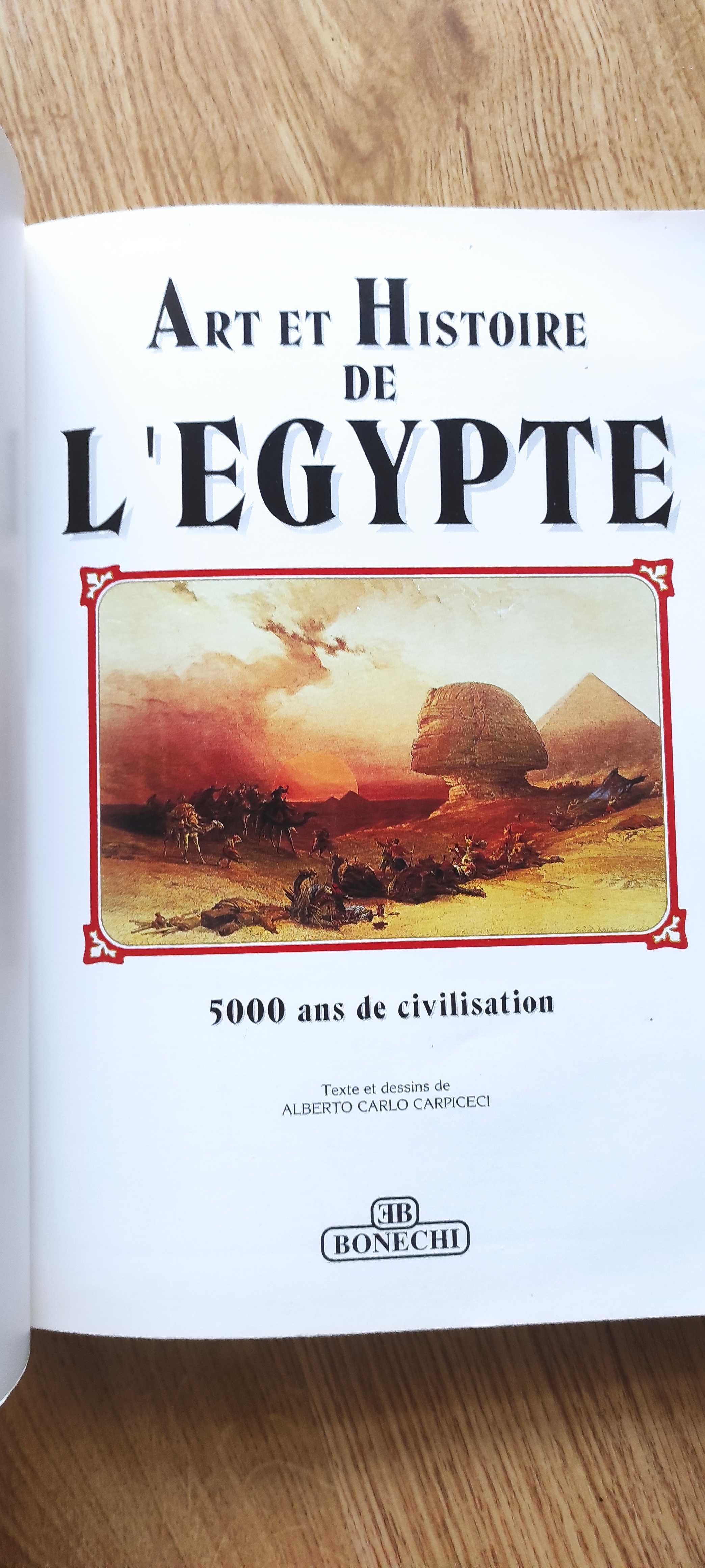 Livro sobre arquitetura de Egipto em Italiano