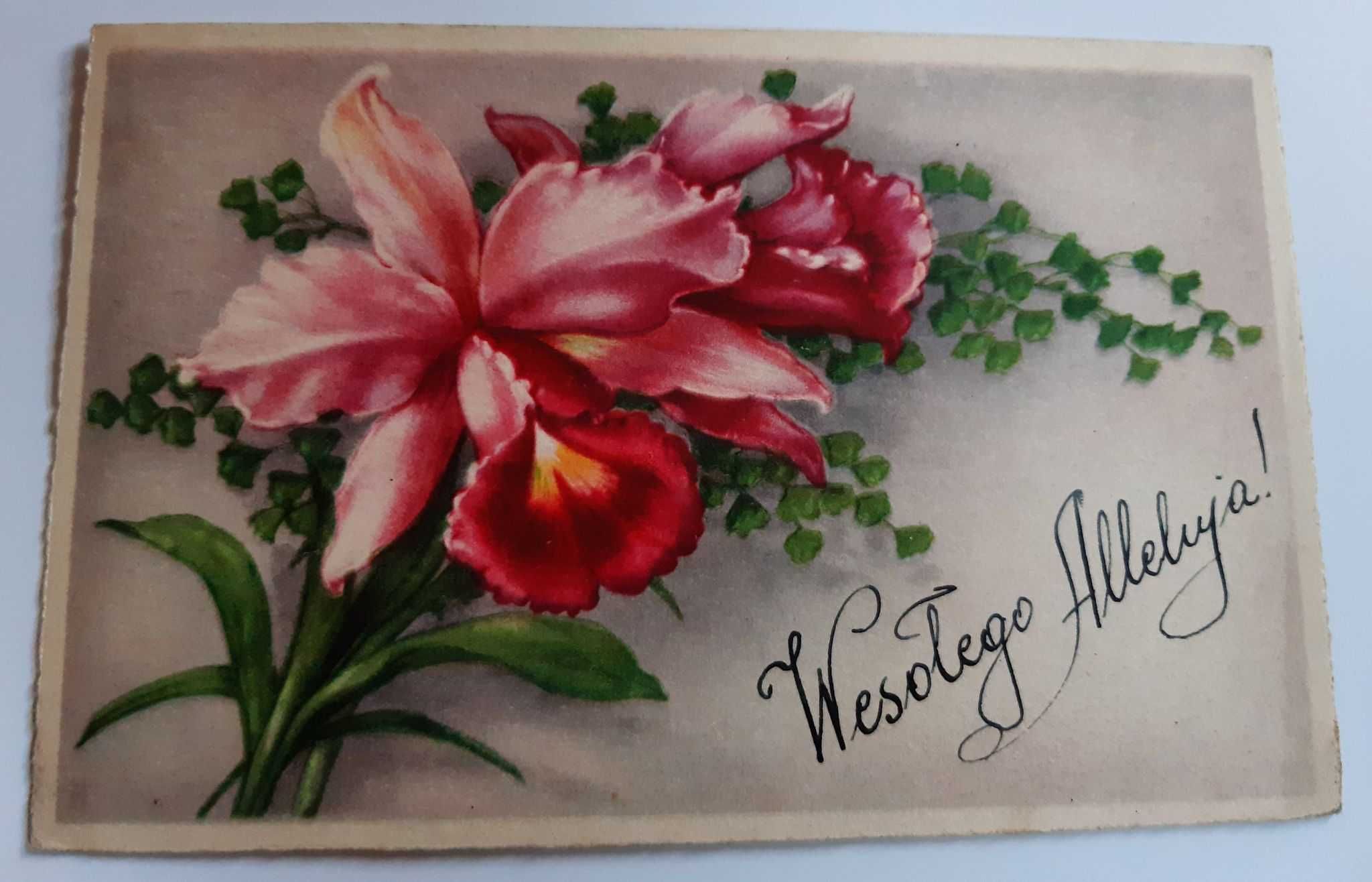 STARA pocztówka - Kwiat - Wesołego Alleluja! (1.IV.1942r.)