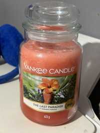 The last paradise yankee candle