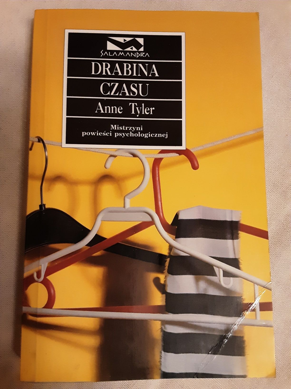 Drabina czasu Anne Tyler