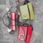 Telefon Tulipan, Bratek