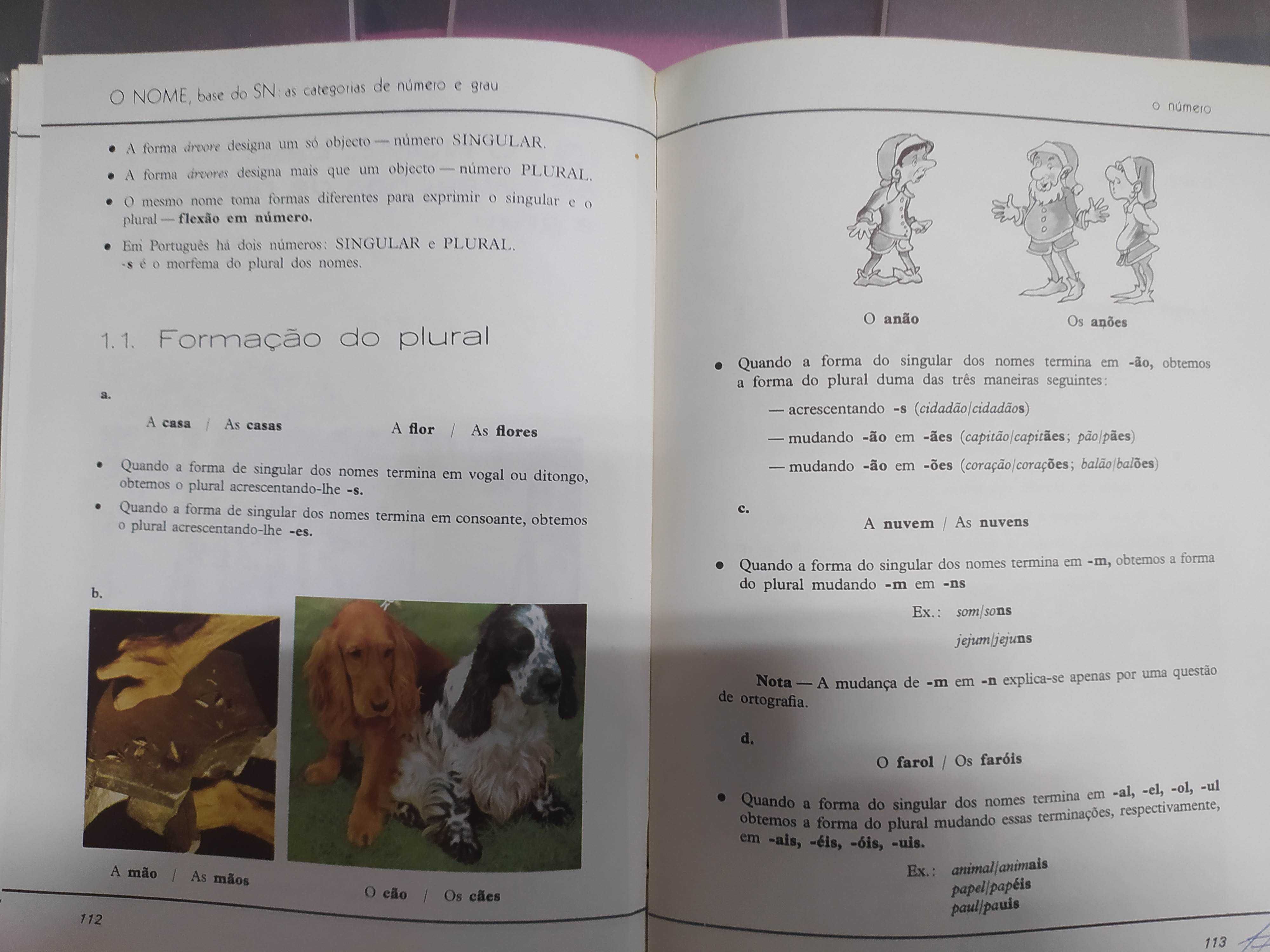 Novos Caminhos para a Linguagem Gramática Pedagógica do Português  1-2