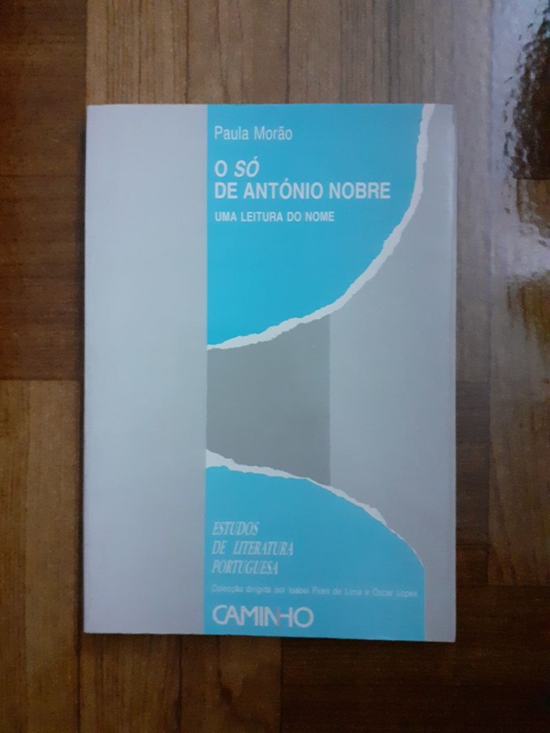 O Só de António Nobre, Paula Morão