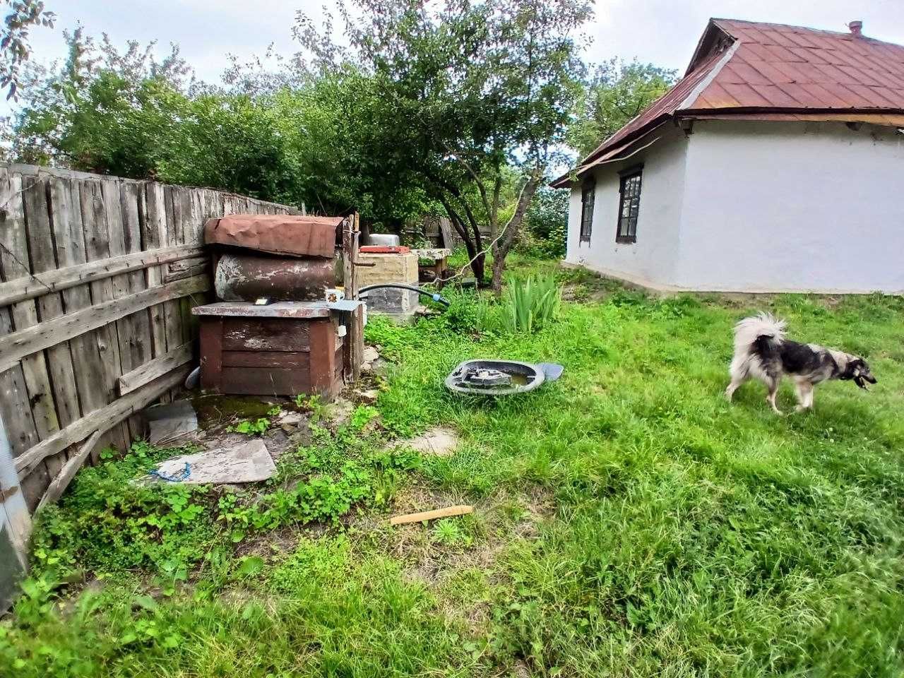 Продам акуратний, дерев'яний будиночок в с. Семенівка!