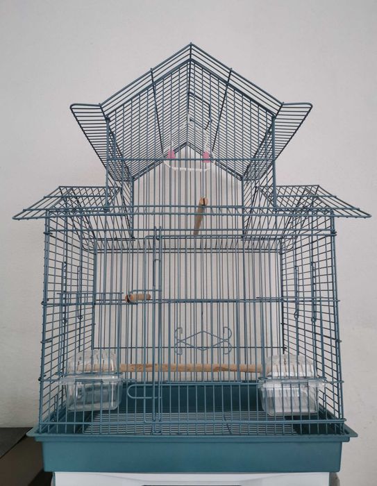 Gaiola nova ou Ring Neck