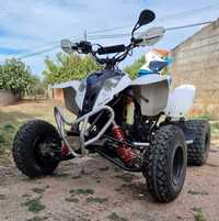 Polaris predator 500