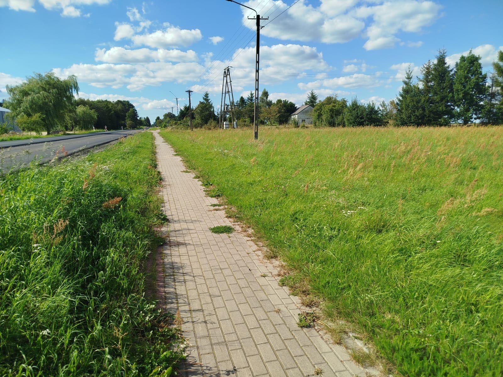 Działka inwestycyjna 30 ar – przy drodze wojewódzkiej