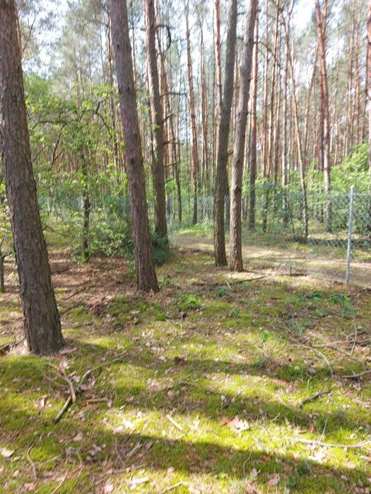 Działka budowlana, media w drodze