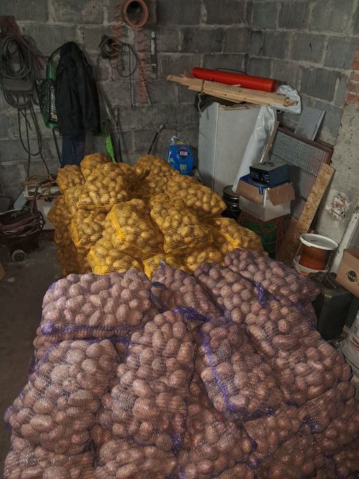 Sprzedam ziemniaki