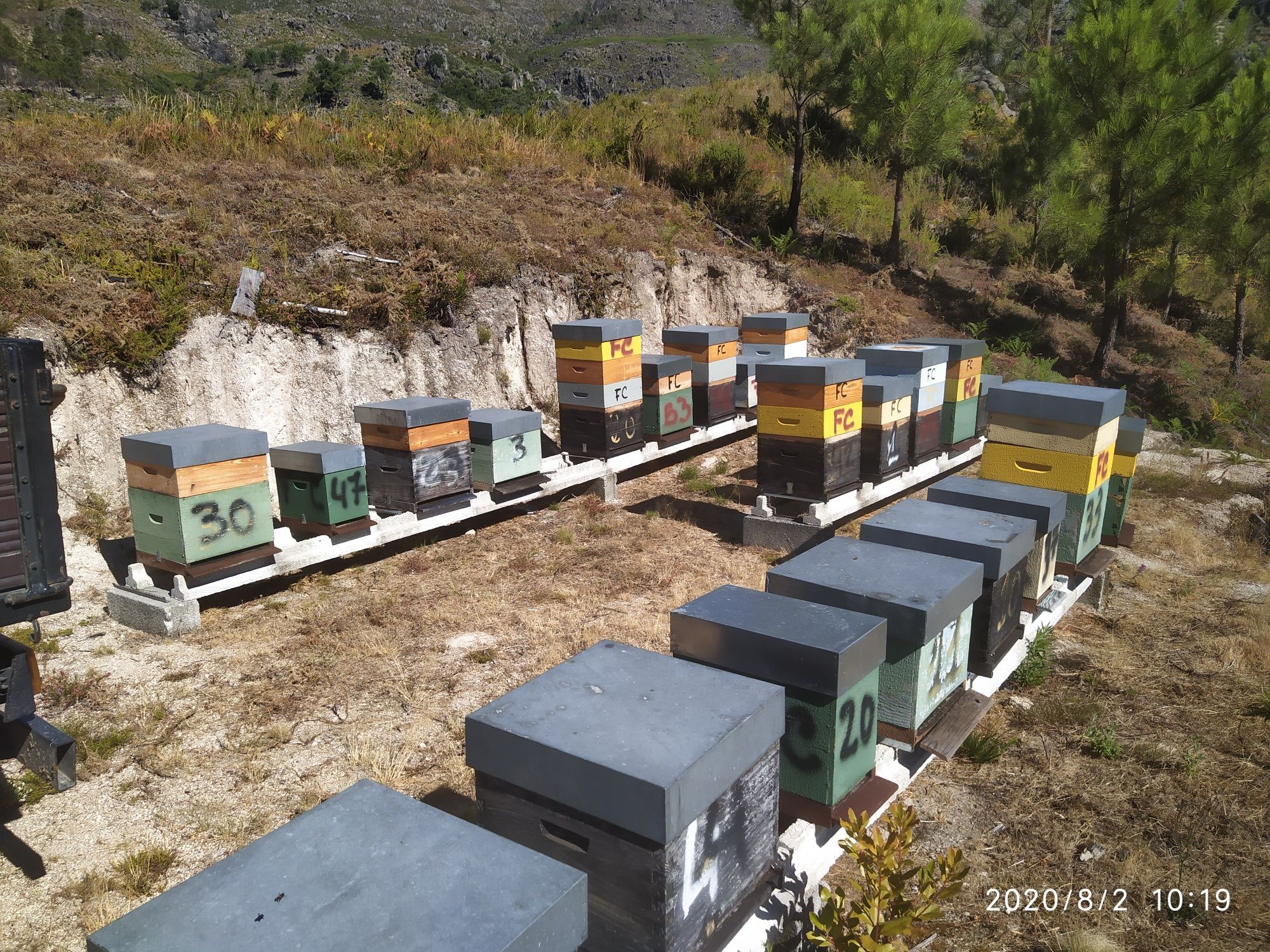 Mel de urze Serra do Gerês