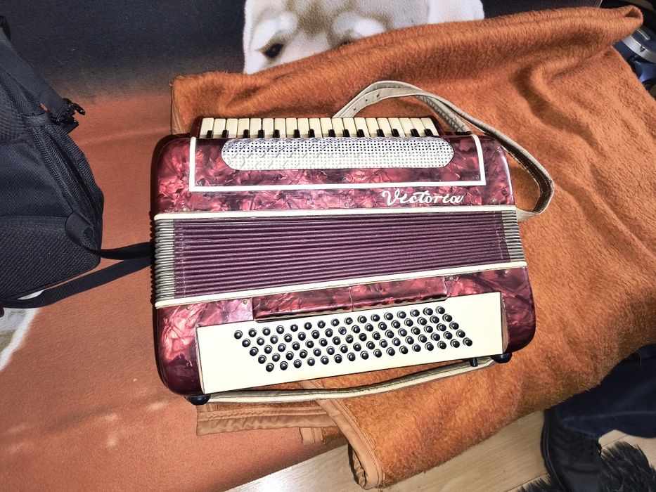 Akordeon harmonia Victoria 80