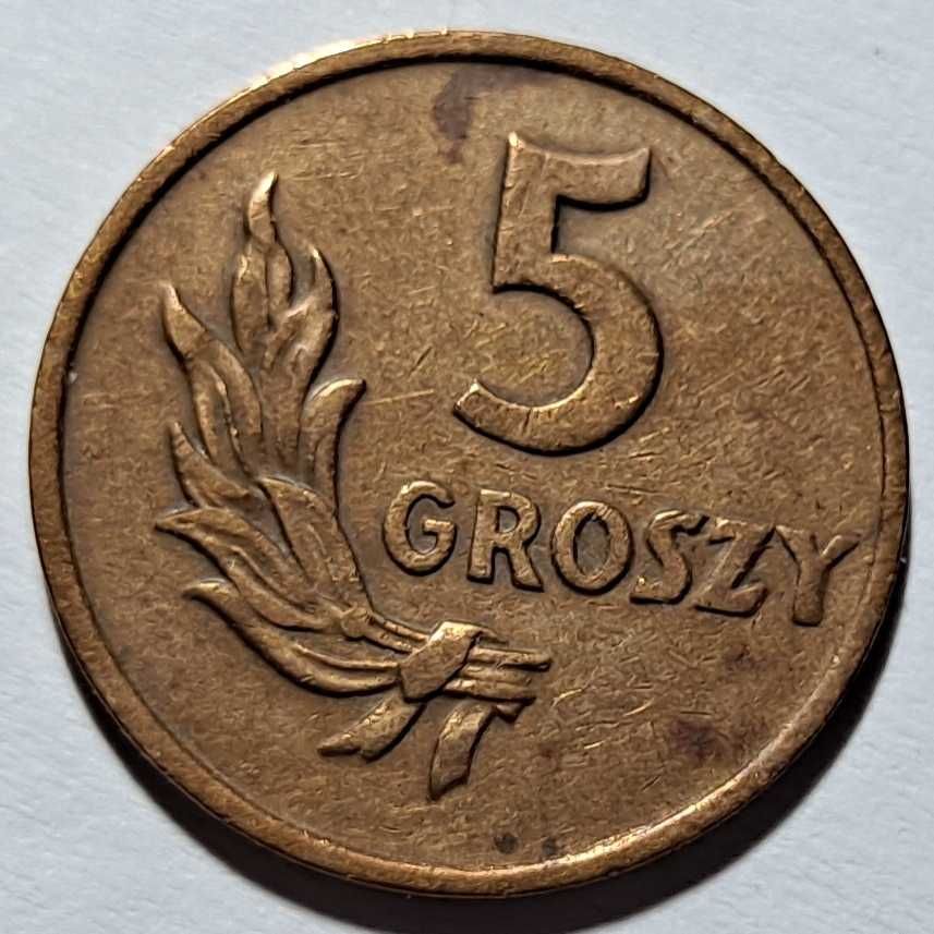 moneta - 5 Groszy  - (Polska)  Rzeczpospolita - 1949 r. - brąz
