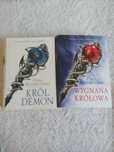 Król demon i Wygnana Królowa, Cinda Williams Chima